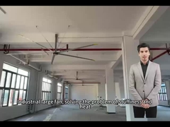 5स्कूल और व्यायामशालाओं में अधिकतम वायु परिसंचरण के लिए.0M 16FT बड़े प्रशंसक