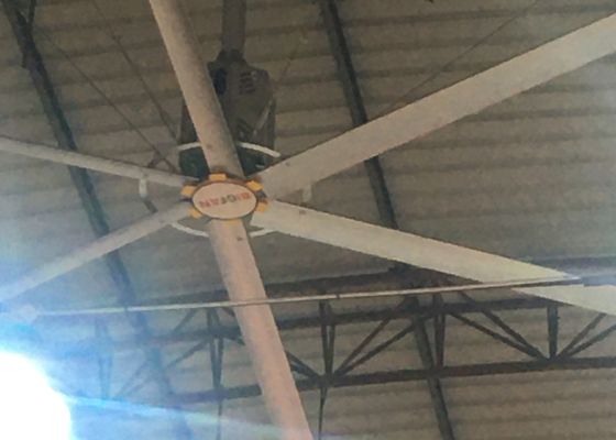 अच्छी कीमत चीन 6 एल्यूमीनियम ब्लेड के साथ पारंपरिक एचवीएल इलेक्ट्रिक छत पंखे ऑनलाइन