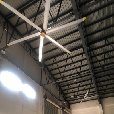 अच्छी कीमत रेस्तरां छत पंखे 5.0m 16FT BLCD मोटर HVLS बड़े गोदामों के लिए वेंटिलेटर ऑनलाइन