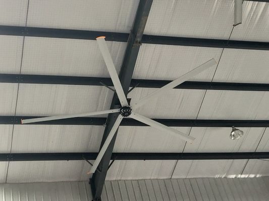 अच्छी कीमत बास्केटबॉल खेल केंद्र 5.4M 17ft 1.5KW लंबी ब्लेड छत पंखे ऑनलाइन